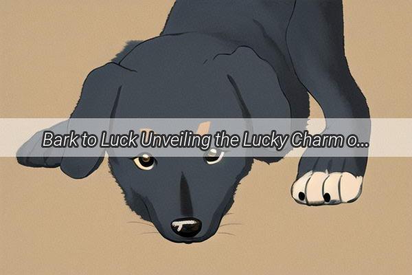 Bark to Luck Unveiling the Lucky Charm of Our FourLegged Friends